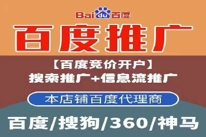 顶级SEM运营公司案例分析